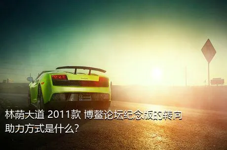 林荫大道 2011款 博鳌论坛纪念版的转向助力方式是什么？