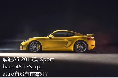 奥迪A5 2016款 Sportback 45 TFSI quattro有没有前雾灯？