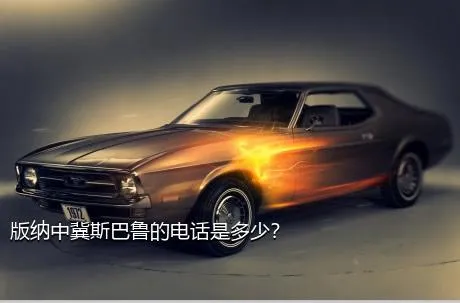 版纳中冀斯巴鲁的电话是多少？