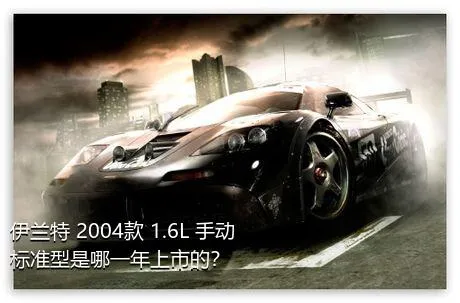 伊兰特 2004款 1.6L 手动标准型是哪一年上市的？