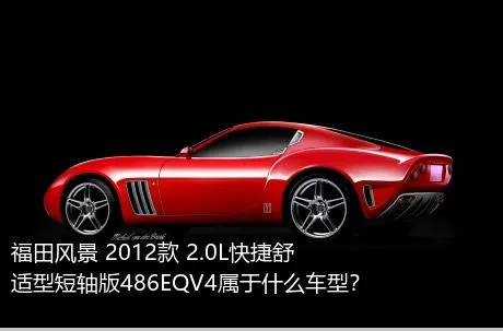 福田风景 2012款 2.0L快捷舒适型短轴版486EQV4属于什么车型？