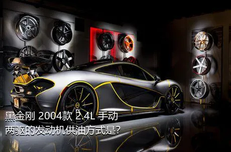 黑金刚 2004款 2.4L 手动两驱的发动机供油方式是？