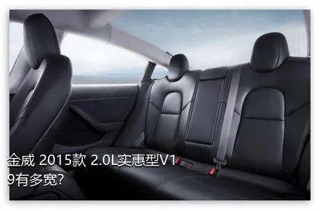 金威 2015款 2.0L实惠型V19有多宽？