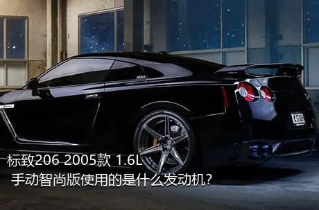 标致206 2005款 1.6L 手动智尚版使用的是什么发动机？