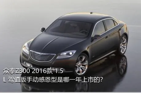 众泰Z300 2016款 1.5L 驾值版手动感恩型是哪一年上市的？