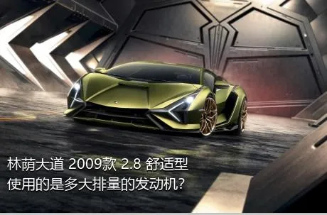 林荫大道 2009款 2.8 舒适型使用的是多大排量的发动机？