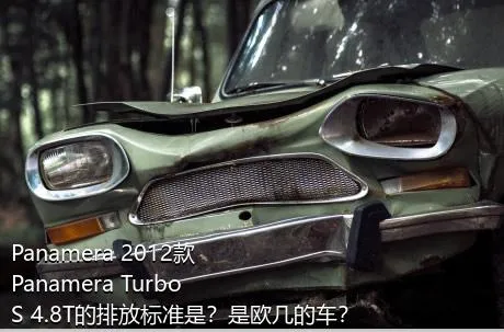 Panamera 2012款 Panamera Turbo S 4.8T的排放标准是？是欧几的车？