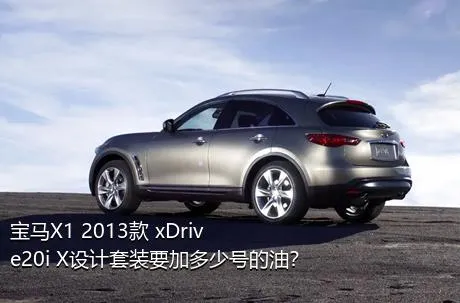 宝马X1 2013款 xDrive20i X设计套装要加多少号的油？
