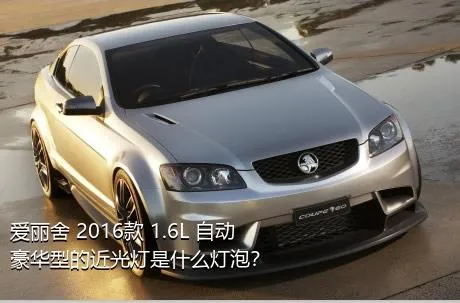 爱丽舍 2016款 1.6L 自动豪华型的近光灯是什么灯泡？