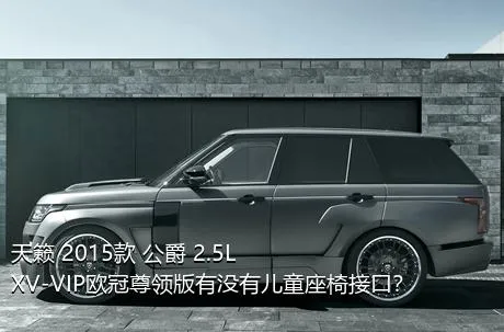 天籁 2015款 公爵 2.5L XV-VIP欧冠尊领版有没有儿童座椅接口？