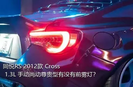 同悦RS 2012款 Cross 1.3L 手动尚动尊贵型有没有前雾灯？