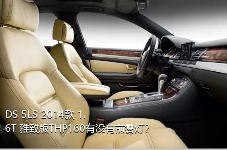 DS 5LS 2014款 1.6T 雅致版THP160有没有前雾灯？