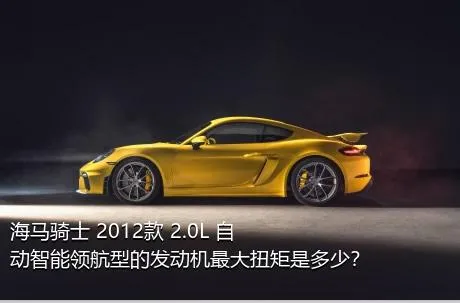 海马骑士 2012款 2.0L 自动智能领航型的发动机最大扭矩是多少？
