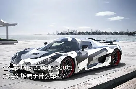 雷克萨斯IS 2007款 300炫动特别版属于什么车型？