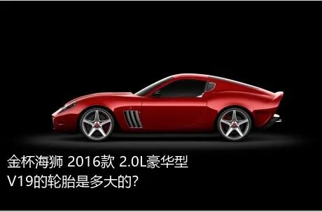 金杯海狮 2016款 2.0L豪华型V19的轮胎是多大的？