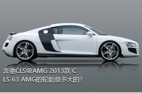 奔驰CLS级AMG 2013款 CLS 63 AMG的轮胎是多大的？