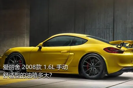 爱丽舍 2008款 1.6L 手动舒适型的油箱多大？