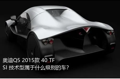 奥迪Q5 2015款 40 TFSI 技术型属于什么级别的车？