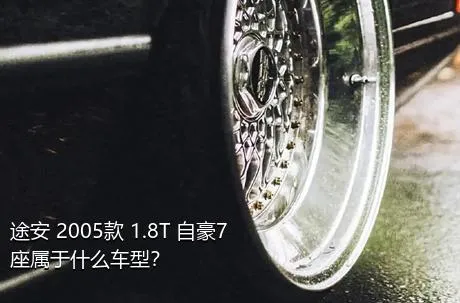 途安 2005款 1.8T 自豪7座属于什么车型？
