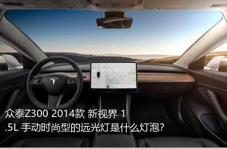 众泰Z300 2014款 新视界 1.5L 手动时尚型的远光灯是什么灯泡？