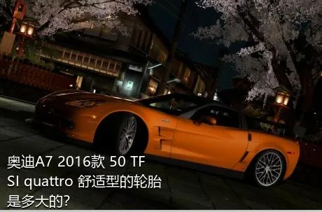 奥迪A7 2016款 50 TFSI quattro 舒适型的轮胎是多大的？