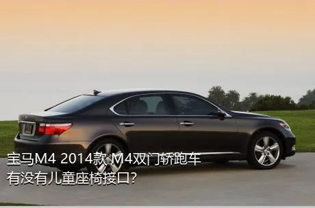 宝马M4 2014款 M4双门轿跑车有没有儿童座椅接口？