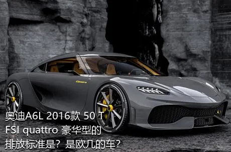 奥迪A6L 2016款 50 TFSI quattro 豪华型的排放标准是？是欧几的车？