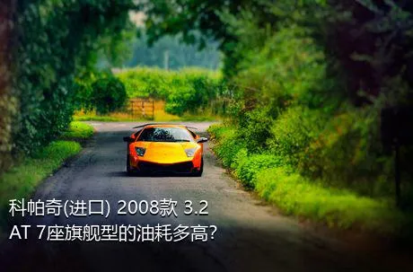 科帕奇(进口) 2008款 3.2 AT 7座旗舰型的油耗多高？