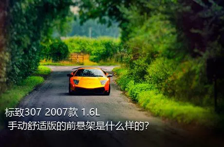 标致307 2007款 1.6L 手动舒适版的前悬架是什么样的？