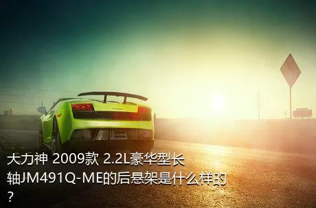 大力神 2009款 2.2L豪华型长轴JM491Q-ME的后悬架是什么样的？