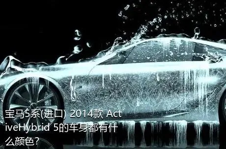 宝马5系(进口) 2014款 ActiveHybrid 5的车身都有什么颜色？