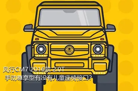 风行CM7 2016款 2.0T 手动尊享型有没有儿童座椅接口？