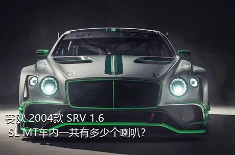 赛欧 2004款 SRV 1.6 SL MT车内一共有多少个喇叭？