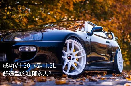 成功V1 2014款 1.2L 舒适型的油箱多大？