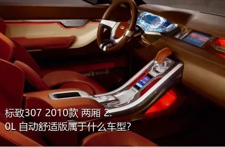 标致307 2010款 两厢 2.0L 自动舒适版属于什么车型？