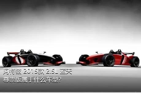 阿特兹 2015款 2.5L 蓝天尊崇版属于什么车型？