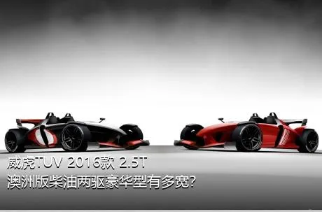 威虎TUV 2016款 2.5T澳洲版柴油两驱豪华型有多宽？