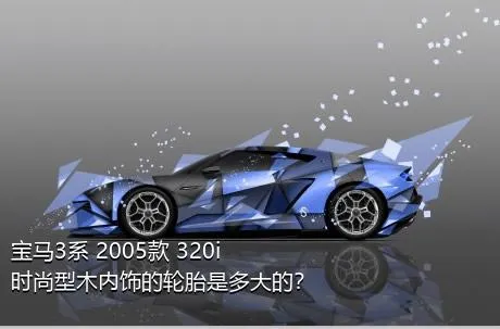 宝马3系 2005款 320i 时尚型木内饰的轮胎是多大的？