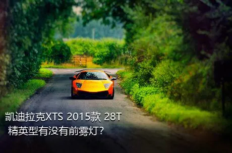 凯迪拉克XTS 2015款 28T 精英型有没有前雾灯？