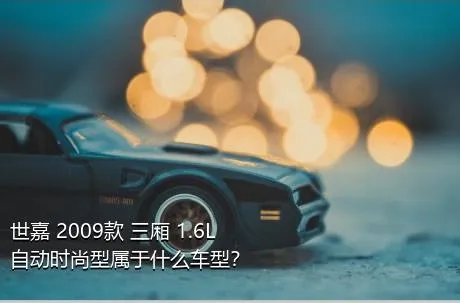 世嘉 2009款 三厢 1.6L 自动时尚型属于什么车型？