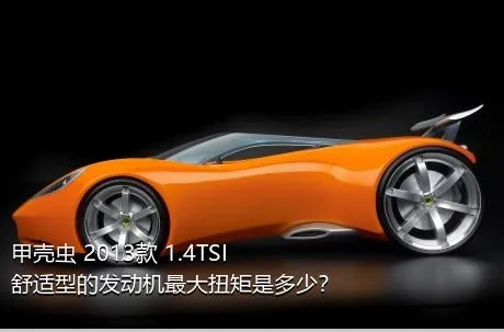 甲壳虫 2013款 1.4TSI 舒适型的发动机最大扭矩是多少？