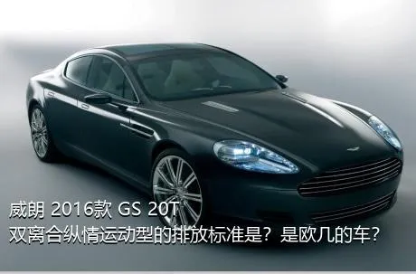 威朗 2016款 GS 20T 双离合纵情运动型的排放标准是？是欧几的车？