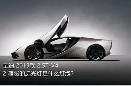 宝迪 2013款 2.5T-V42 箱货的远光灯是什么灯泡？