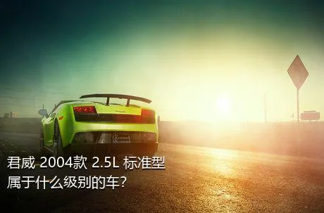 君威 2004款 2.5L 标准型属于什么级别的车？