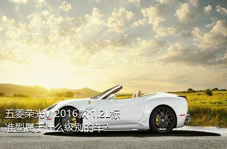 五菱荣光V 2016款 1.2L标准型属于什么级别的车？
