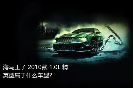 海马王子 2010款 1.0L 精英型属于什么车型？