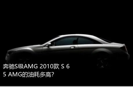 奔驰S级AMG 2010款 S 65 AMG的油耗多高？