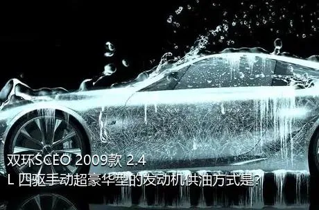 双环SCEO 2009款 2.4L 四驱手动超豪华型的发动机供油方式是？