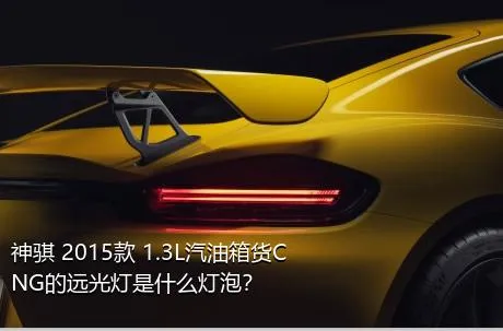 神骐 2015款 1.3L汽油箱货CNG的远光灯是什么灯泡？