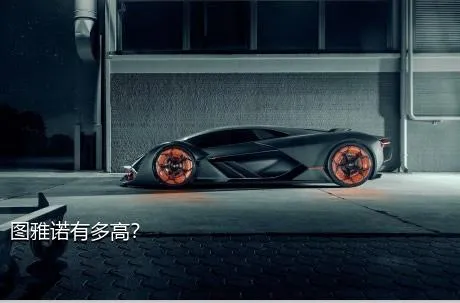 图雅诺有多高？